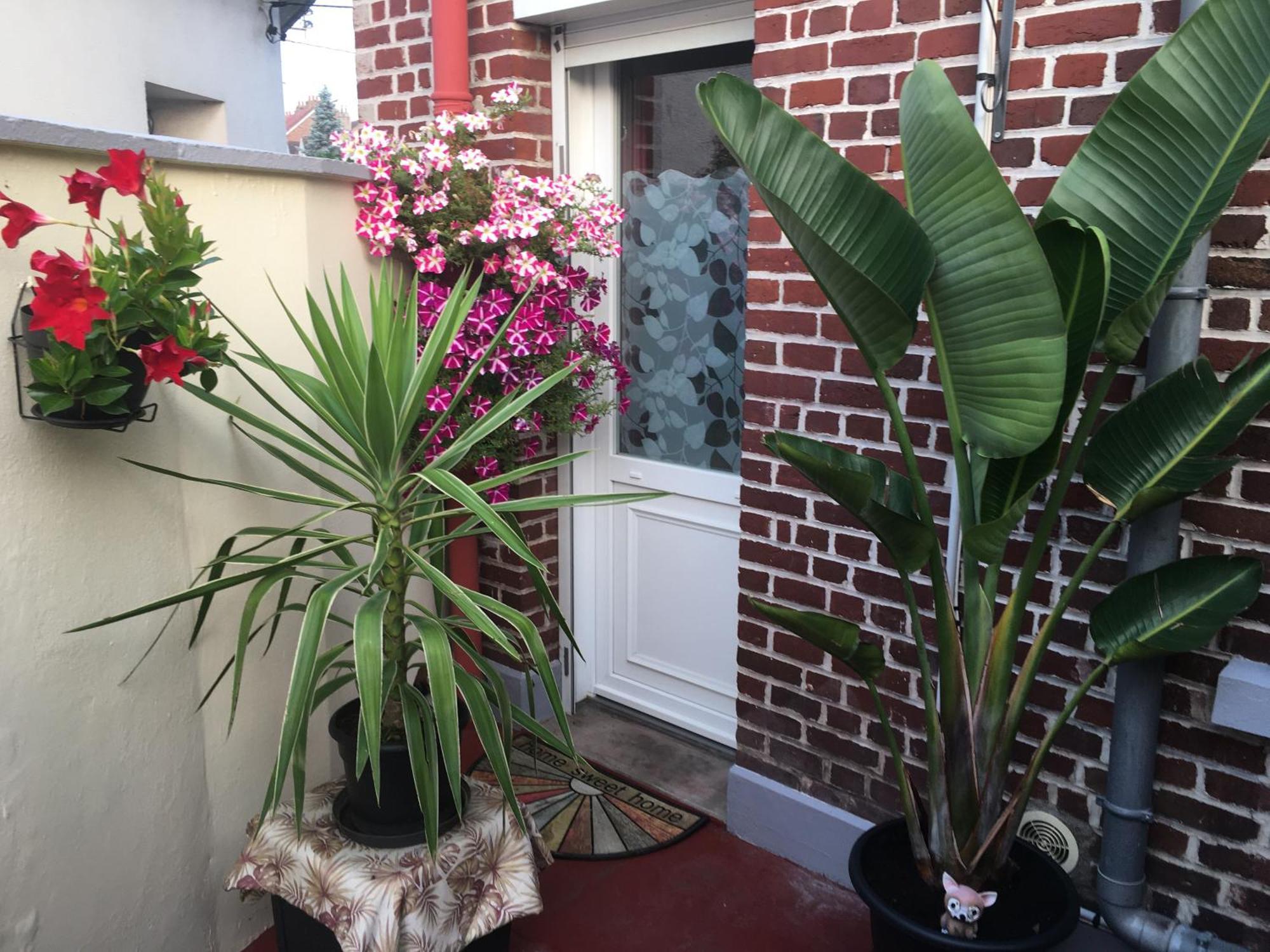 Ferienwohnung Chez Armelle Hesdin Exterior foto